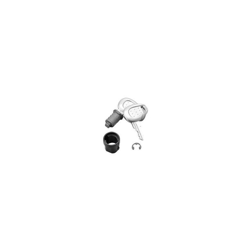 Z661A Ricambi Bauletto GIVI V46 - V46 TECH - Chiave serratura valigia, completa di boccola, impugnatura color argento Z661A Ricambi Bauletto GIVI V46 - V46 TECH - Chiave serratura valigia, completa di boccola, impugnatura color argento