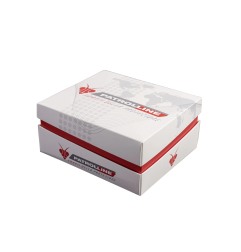 Patrolline Max 4G Antifurto GPS moto con SIM inclusa 24 mesi