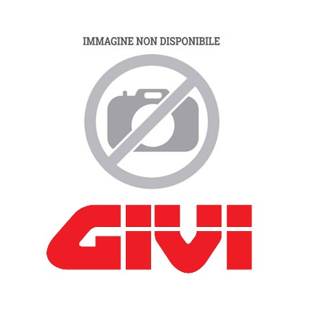 PR5126 Givi protezione radiatore Bmw G 310 GS