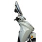 Fabbri parabrezza 3398/LS per Sh 125-150-350 Dal 2021 Al 2024 Oem Fabbri parabrezza 3398/LS per Sh 125-150-350 Dal 2021 Al 2024 Oem