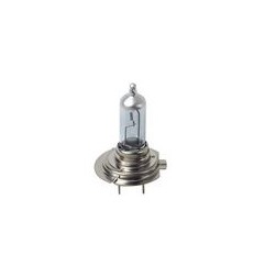 LAMPADA ALOGENA XENON 12V  - (H7) - 100W - PX26d - 2 pz Lampa 58173