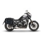 Bags & Bike CONTAINER CALI Borse Laterali Estensibili Cordura Fissaggio Rapido Per Moto Morini Calibro Dal 2024