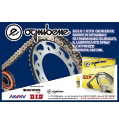 256139000 Ognibene Kit trasmissione trofeo Honda CRF 1000 2016