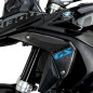 LOBOO Pannello radiatore in carbonio per BMW R1300GS