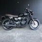 Bags & Bike TLT120 telaietti laterali Triumph Bonneville T100 T120