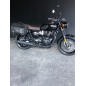Bags & Bike borse laterali TRAVEL Triumph Bonneville T120