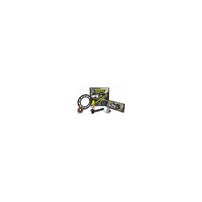 Kit trasmissione Trofeo 256413000 Himalayan 450