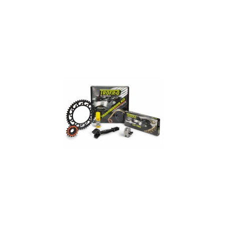 Kit trasmissione Trofeo 256413000 Himalayan 450