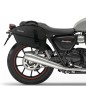 Bags & Bike Borse Laterali Centauro Per Triumph Street Twin 900 Dal 2020 Al 2024