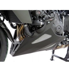 Powerbronze Puntale motore Yamaha MT-09 SP 2021 320-Y128