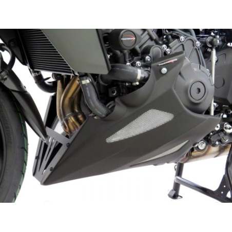 Powerbronze Puntale motore Yamaha MT-09 SP 2021 320-Y128