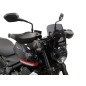 Powerbronze Cupolino Nake Basso Triumph Trident 660 2021 430-U310