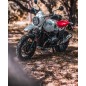 Barkbusters BHG-064 Kit istallazione paramani 2 Punti ancoraggio BMW RnineT