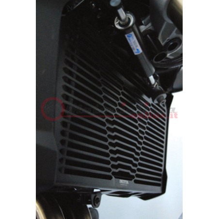 Isotta SP8230 griglia protezione radiatore Bmw F800R dal 2015