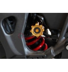 CRF1000L pomello regolazione ammortizzatore oro Evotek