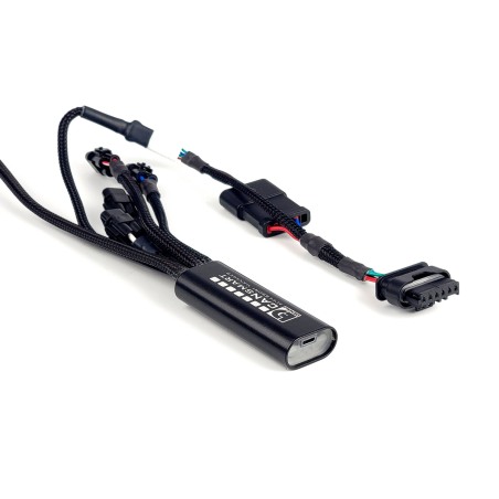 Denali DNL.WHS.25900 Controller GEN II CANsmart per BMW R1300GS