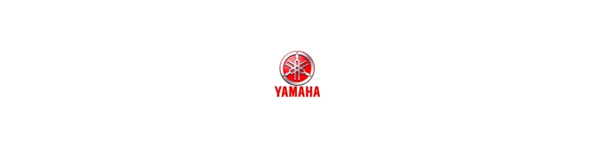 Accessori per scooter elettrici Yamaha. Sempre aggiornati sulle novità
