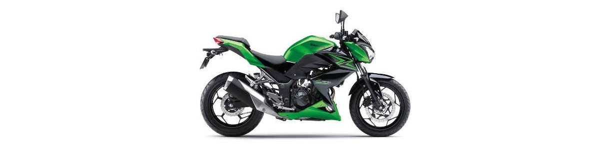 Accessori moto per Kawasaki Z300 dal 2015 al 2016