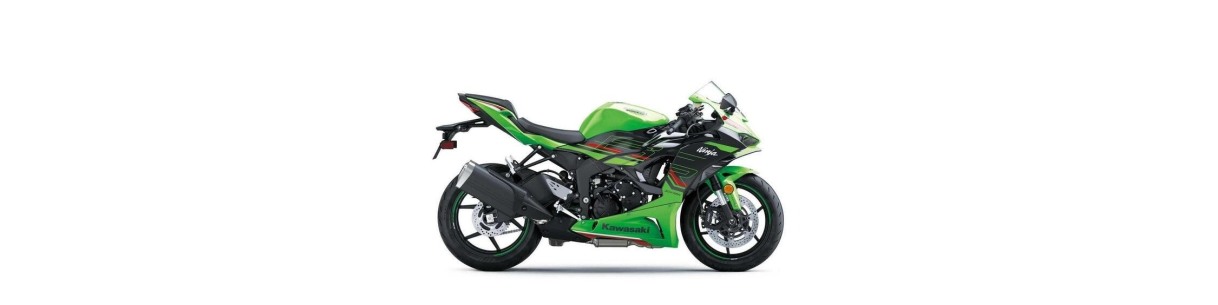 Accessori moto per Kawasaki Ninja 636 ZX-6R dal 2024
