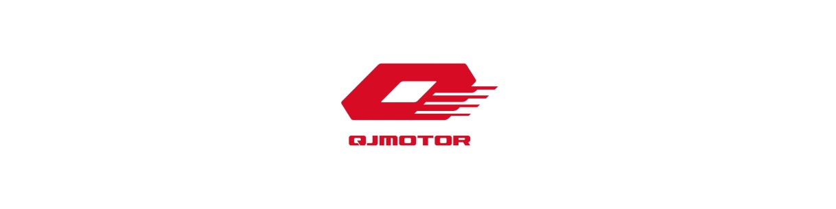Antifurto blocca cavalletto e ruota QJ Motor