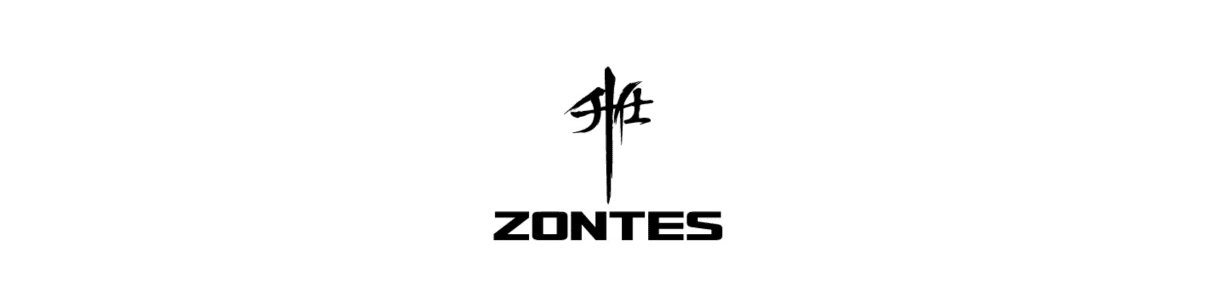 Antifurto blocca ruota e cavalletto per moto o scooter Zontes