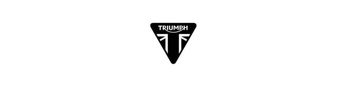 Antifurto blocca ruota per moto Triumph