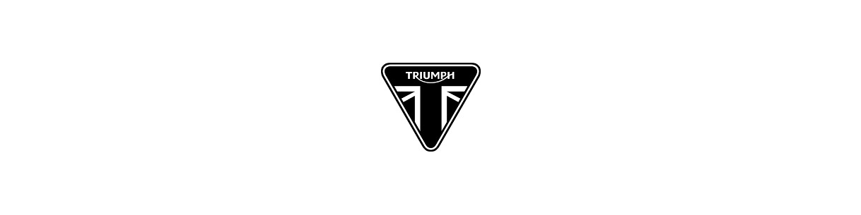 Accessori per moto Triumph: Cupolini, valigie e protezioni