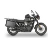 Bonneville T100 (17 - )