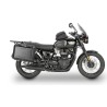 Bonneville T100 (17 - 22)