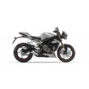 Street Triple 765 (17 - )