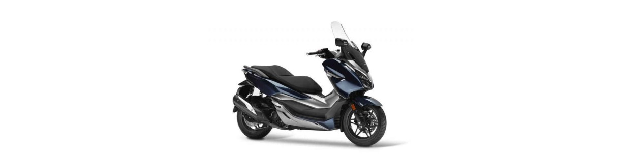 Accessori scooter Honda Forza 300: Termoscud, parabrezza, bauletto