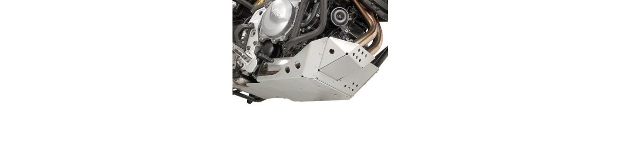 Protezioni per moto BMW F 850 GS