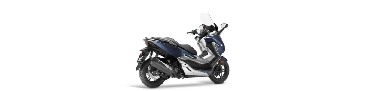 Accessori scooter Honda Forza 300 ABS: Termoscud, parabrezza, Bauletto