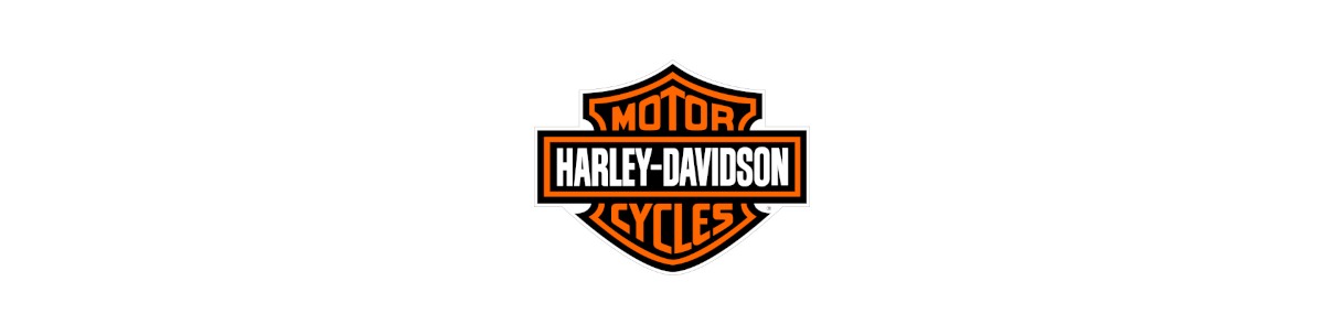 Accessori per Harley Davidson. Borse laterali, cupolino, paramani