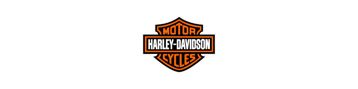 Accessori per Harley Davidson. Borse laterali, cupolino, paramani Kappa