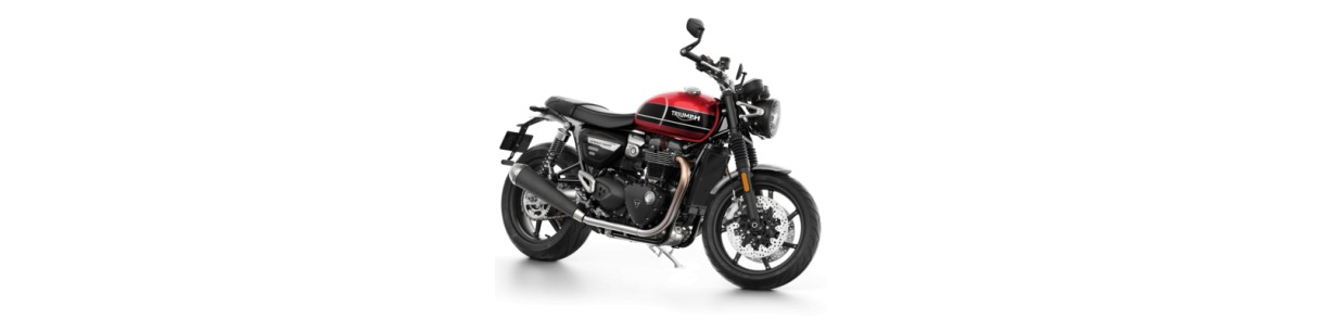 Accessori Triumph Speed Twin 1200. Porta tarda, griglia faro, borse