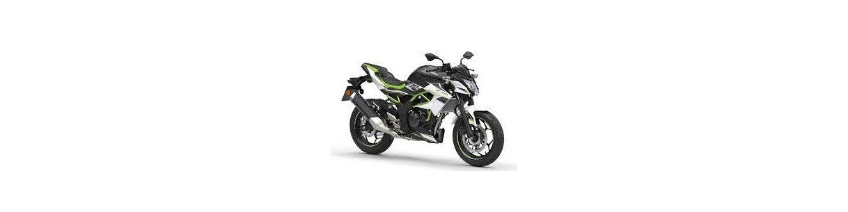 Accessori per Kawasaki Z125. Copulino, borse morbide, protezioni