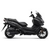 Joy Max Z (GTS, RV, Voyager) Z 125/300 (19 -)