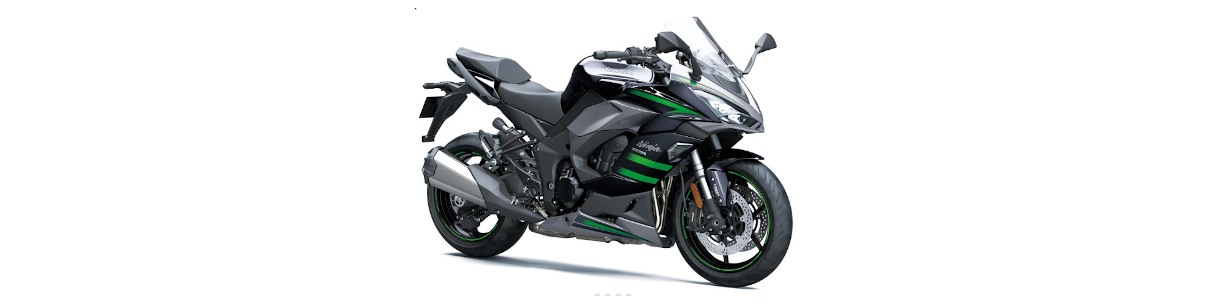 Accessori per Kawasaki Ninja 1000 SX dal 2020