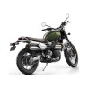 Scrambler 1200 (19 - )