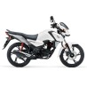 CB 125 F ( 21 - 24 )