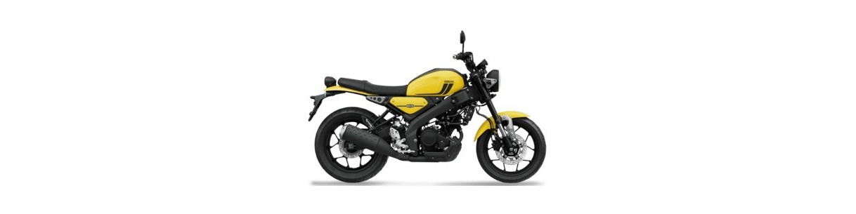 Accessori moto Yamaha XSR 125 dal 2021. Portapacchi, paramotore, borse