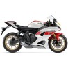 YZF-R7 (21 - )