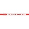 Barracuda